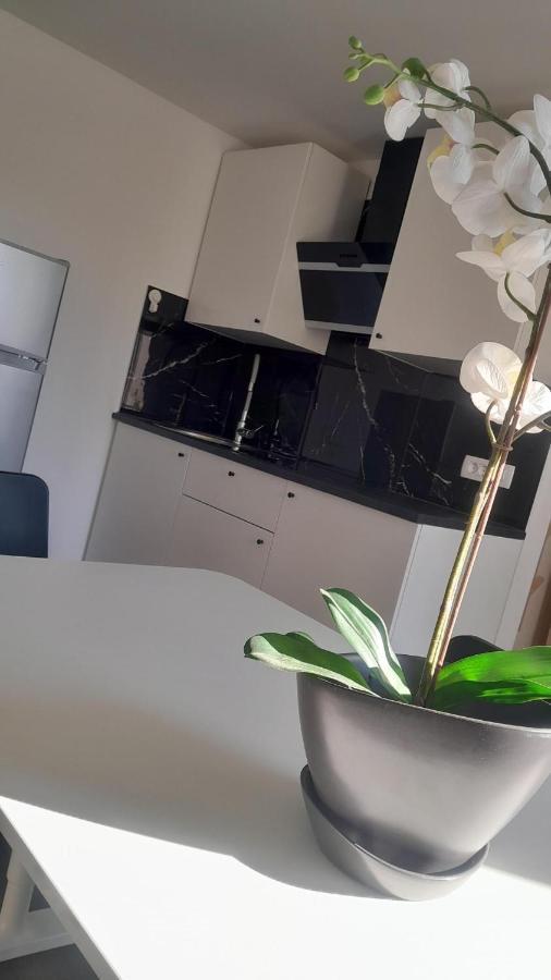 Apartma Ana Копер Экстерьер фото